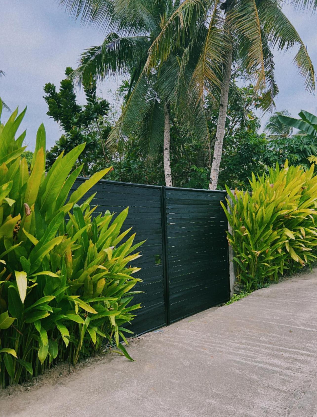 Secret Pool Villa Tuason Beach General Luna  Exterior foto